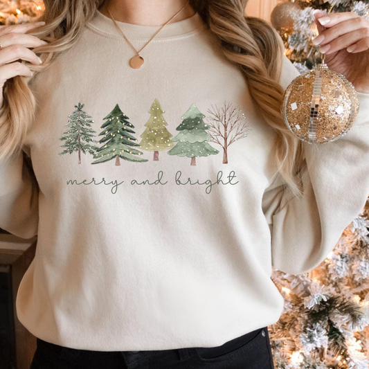 ‘’ Merry and Bright” T.shirt/Sweatshirt